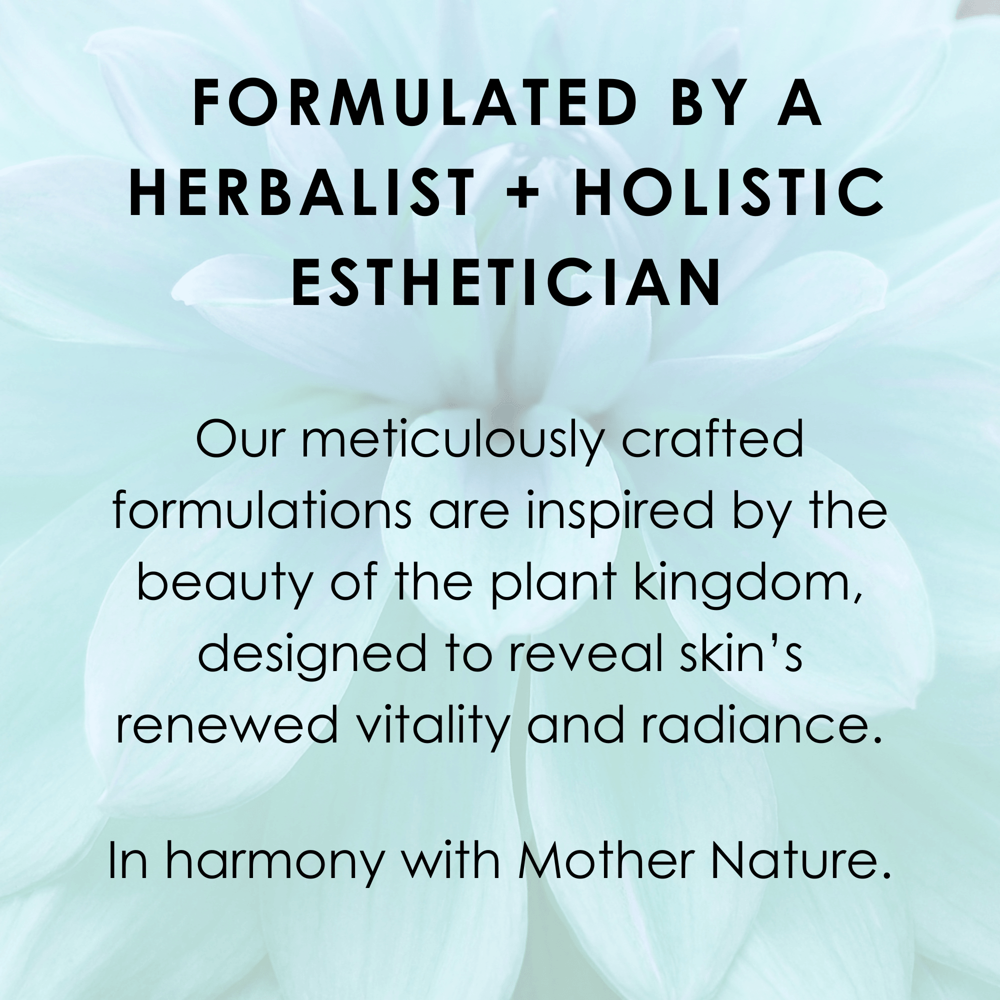 Blue Tansy Hydrating Face Mist Blue Haven Holistics
