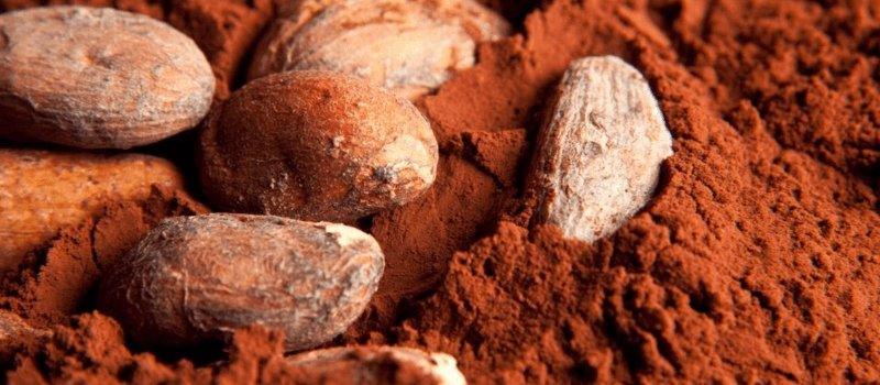 Skin Benefits of Raw Cacao - Blue Haven Holistics