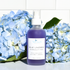 Blue Tansy Hydrating Face Mist Blue Haven Holistics